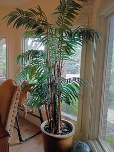 lot 941 image: Approximately 8ft tall Faux Plant.  Pot is 21 x 19.  Heavy.  Bring help or a dolley