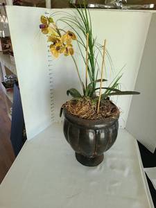 lot 1077 image: Tin flowerpot with arrangement