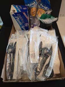 lot 1235 image: Disposable Plastic Cutlery and Party Supplies Lot