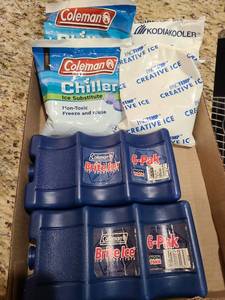 lot 1302 image: Ice packs and lunch bag