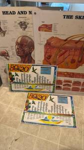 lot 1465 image: Medical Anatomy Educational Posters and 8020 Food Theory Charts