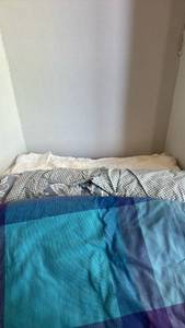 lot 1542 image: King size duvet covers