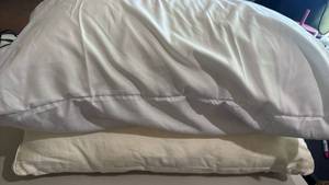 lot 1552 image: Pillows