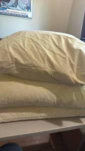 lot 1553 image: Feather pillow with removable zipper covers