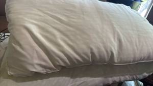 lot 1554 image: Feather and other pillow