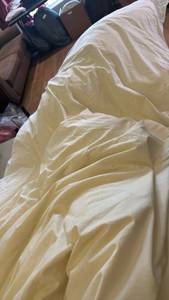 lot 1571 image: Twin size feather mattress topper