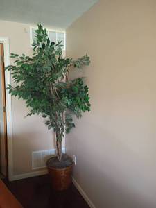 lot 2000 image: Faux Tree.  Approximately 7ft. tall.  Located in Basement with Walkout