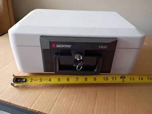 lot 3333 image: Sentry Safe.  Has a key