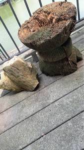 lot 4012 image: Large Weathered Tree Stump Planter with Natural Wood Chunks 14X14