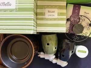 lot 224 image: Scentsy WarmersAccessories