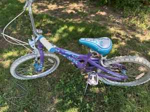 lot 535 image: Schwinn Bike