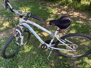 lot 537 image: Schwinn Bike