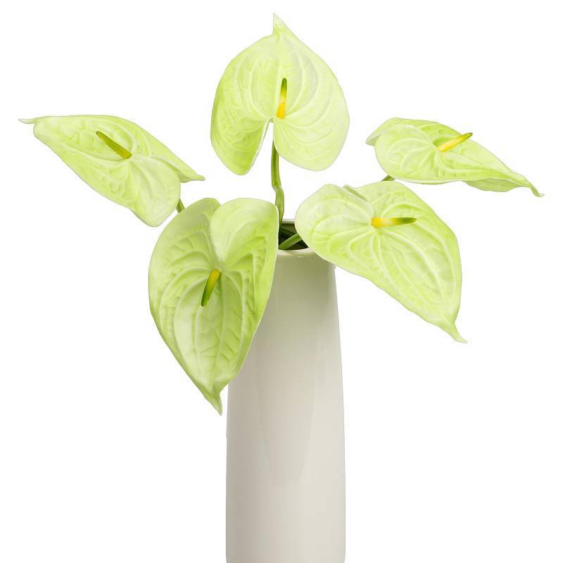 lot 3128 image: OBDXZHC 8PCS 25.6inch Anthurium Artificial Flowers Light Green Faux Anthurium Real Touch Flower Faux Floral Arrangement for Vase Table Centerpieces Wedding Garden Home Decoration (Light Green) - Retail $24