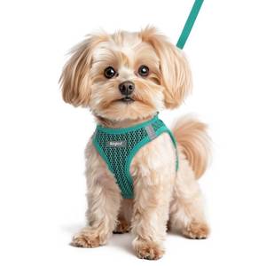 lot 5075 image: Eagloo Small Dog Harness and Leash Set, Step in Puppy Vest with Breathable Soft Mesh, Walking Reflective Pet Harness for Small Dogs, Forest Green, XS - Retail $15