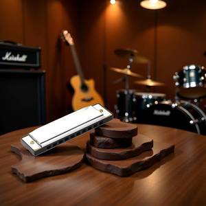 lot 5476 image: 10 Holes 20 Tones Diatonic Harmonica Key of C with Blue Case,Rock w Case Stainless Steel Silver Color Diatonic Harmonica - Retail $6