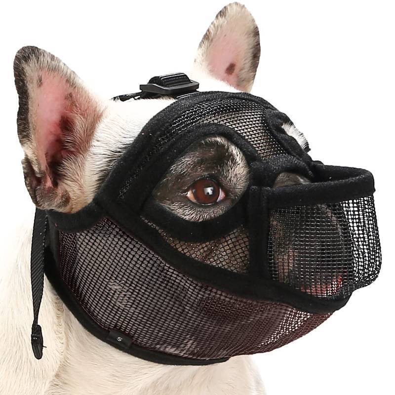 lot 4651 image: BARKLESS French Bulldog Muzzle, Short Snout Mesh Dog Muzzle with Tongue Out Design for Flat Face Dog Shih Tzu English Bulldog, Prevent Biting Chewing Allows Grooming (Black, M) - Retail $17