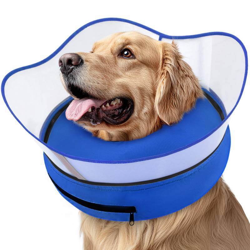 lot 5029 image: Supet Raised Inflatable Dog Cone Collar to Stop Licking, Soft Dog Cone Alternative After Surgery, Pet Neck Donut Collar for Small Medium Large Dogs Size Large  - Retail $32