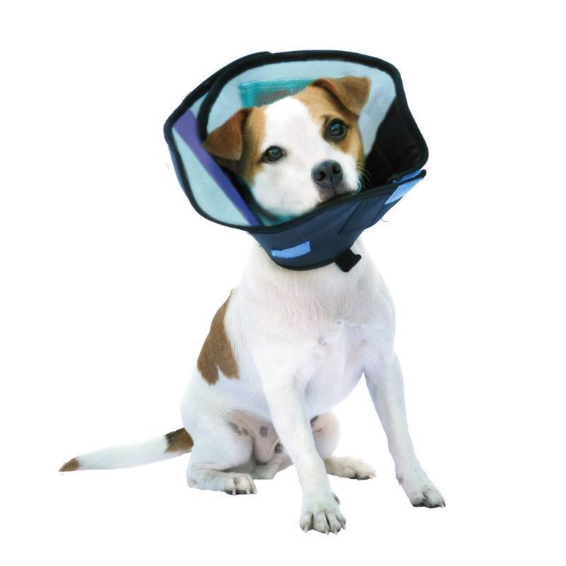 lot 5308 image: Calm Paws CM27881 Dog Caring Collar - Small - Retail $46
