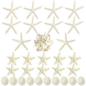 lot 6548 image: Queekay 30 Pcs Resin Starfish Sand Dollars for Crafts 2-4.7 Inch Fake Seashells Bulk Large White Sand Dollar Ornament for Beach Mermaid Birthday Wedding Christmas Party Decor DIY Craft Supplies