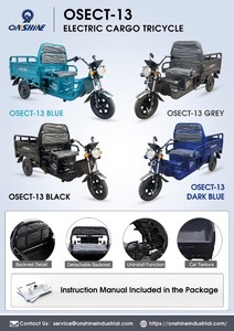 lot 6243 image: Unused Onshine Electric Cargo Tricycle (OSECT-13)-Assorted Colors-First Come First Pick