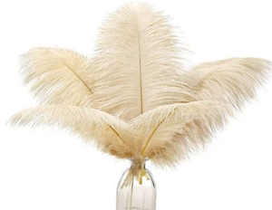 lot 1115 image: Beige Feathers Craft Supply Pack