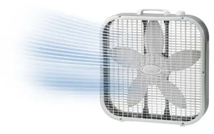 lot 44338 image: Lasko 20-inch Air Circulating Box Fan - Retail $25
