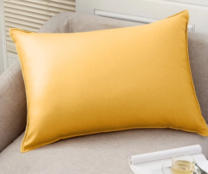 lot 44345 image: Outdoor Waterproof Rectangle Pillow and Cover 11.8x19.7in - Retail $68