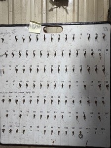 lot 41274 image: Key Organizer Board