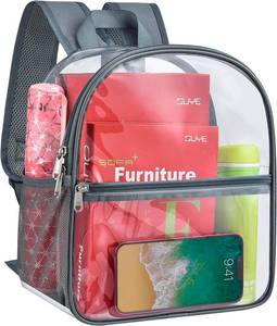 lot 1691 image: Paxiland Clear Backpack Stadium Approved 12 12 6 with Reinforced and Wider Shoulder Straps, Small Clear Bag for Schools, Concerts, Work, Festivals and Sporting Events - Grey