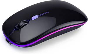 lot 1266 image: Wireless Bluetooth Mouse Rechargeable Long Lasting Dual Mode - BT 5.2 & 2.4G Silent RGB LED Mice, Slim Portable Ergonomic Mouse for LaptopPCTabletMacBookiPadApple Devices(Black)