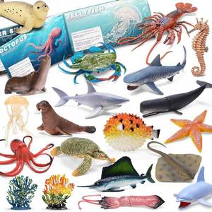 lot 1230 image: 20 Pcs Ocean Animal Toy with Educational Booklet, Plastic Sea Animal with Gift Box, Mini Sea Creature Figures for Kids Age 3, Birthday Gift, Ocean Theme Party Favor, Water Bath Toy for Toddler