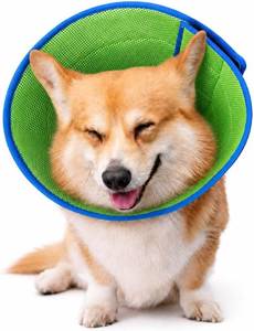 lot 10252 image: Soft Dog Cone Collar to Stop Licking After Surgery, Comfy Dog Cone Alternative for Large Medium Small DogsCats, Adjustable Washable E-Collar for Spay Neuter Recovery and Neck Protection