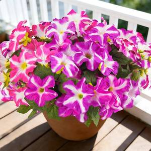 lot 17157 image: FULLMUSIC Spring Artificial Flowers for Outdoors, UV Resistant Fake Morning Glory, Look Real Faux Silk Plants for Front Door Garden Porch Planter