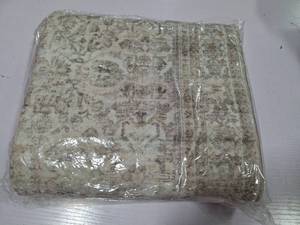 lot 17177 image: Area Rug Tan  Beige - 2 x 5