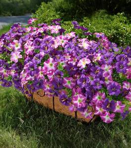 lot 17479 image: Artificial Flowers for Outdoors Fake Plants Outside Decoration, 20 Bundles Silk Petunia with Eucalyptus UV Resistant Realistic Faux Flowers for Outdoor Planters Garden Balcony Yard Porch Patio, Mix