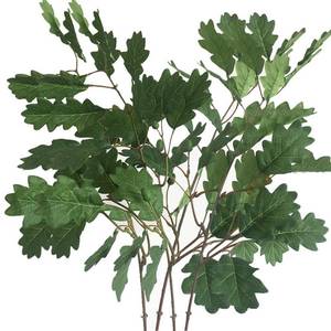 lot 42715 image: Shirfloral 4Pcs Artificial Oak Tree Leaf Stems with Fruits Faux Oak Tree Branches Green Plant for Greenery Home Kitchen Table Centerpieces Festival Decor (Green) - Retail $17
