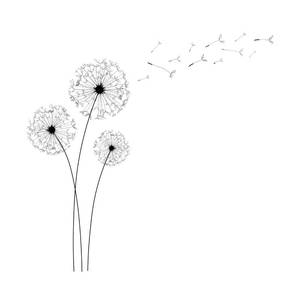 lot 43109 image: Dandelion Wall Decals, Flower Stickers, Mural Decorations. Suitable for Floral Wall Decals in bedrooms, Offices, bathrooms, and Living Rooms. Removable Art Decorations with Peel-and-Stick Room Decor. - Retail $14
