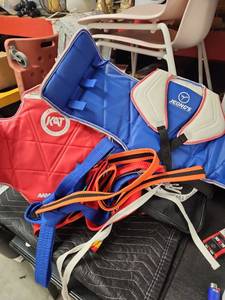 lot 1063 image: Jeongs Taekwondo Martial Arts Gear Lot with Carry Bag