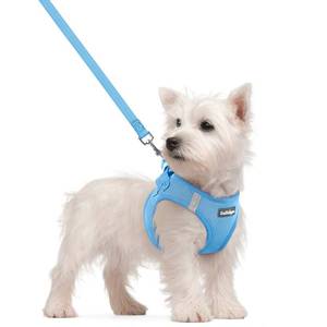 lot 5853 image: rabbitgoo Dog Harness Small Sized and Leash Set, Step in Soft Light Puppy Vest, Breathable Mesh Pet Harness, Reflective for Safe Easy Walking, Blue S
