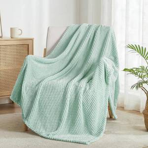lot 5931 image: Exclusivo Mezcla Fleece Throw Blanket Extra Large, Super Soft and Warm Blankets for Couch, Sofa and Bed Waffle Textured, Cozy, Fuzzy and Lightweight (Mint Green, 50x70 Inches)