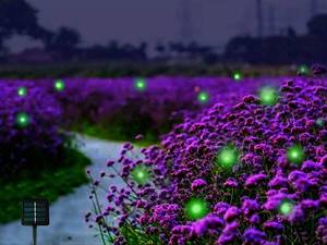 lot 6884 image: Wskvlcg Outdoor Solar Powered Firefly Lights Bugs, Flickering Fireflies String Lights with 9 Amusing Fireflies Bulbs for Garden Patio Lawn, Brings Back Memories of Your Childhood