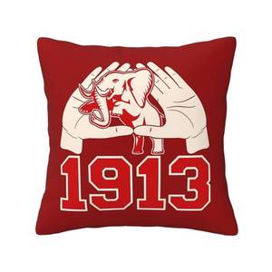 lot 6968 image: Sorority Gifts Throw Pillow Covers Decorative Pillow Case 18x18 Inch for Couch Bed Car Home Decor