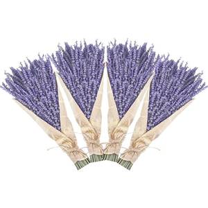 lot 8192 image: Dried Lavender Bundles, Uieke Natural Dried Lavender Flowers 520-560 Stems 16 for Home Weeding Decoration Flower Arrangements Photo Props Home Fragrance 4 Bundles