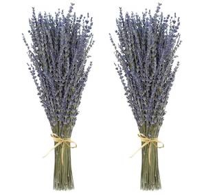 lot 37717 image: Dried Lavender 2 Bunches 100% Fresh Natural Purple Bouquet Flowers for Bathroom Photo Props Crafts Decoration, 15-17 for Shower Weeding Vase Decor, Home Fragrance(200-220 Stems(100g3.5oz Total)) - Retail $10