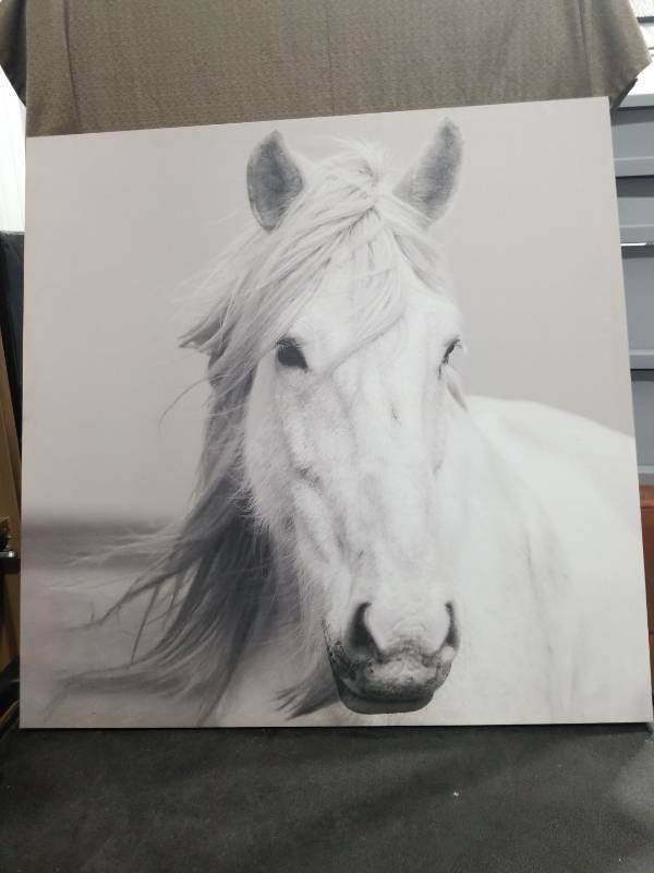 lot 3601 image: White Horse Portrait Canvas Wall Art