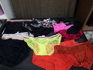 lot 1391 image: Victorias Secret PINK Bebe Womens Underwear Lot All Different Sizes