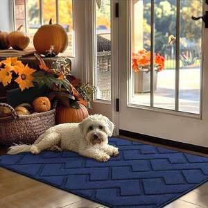 lot 7170 image: $47 hicorfe Indoor Door Mat 32x48 Non-Slip Rubber-Backed Navy
