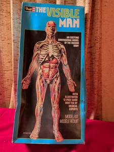 lot 74 image: Revell The Visible Man Human Body Model Kit Never opened