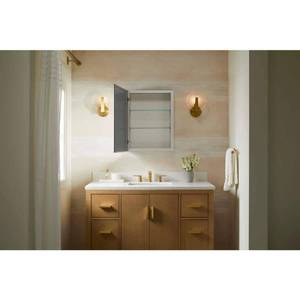 lot 67850 image: Embark Slim 20 in. W x 26 in. H Rectangular Medicine Cabinet with Mirror