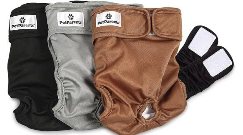 lot 46261 image: Pet Parents� Washable Dog Diapers (3pack)  Extenders of Durable Doggie Diapers, Premium Dog Diapers Female (Small, Natural) waist9-15 - Retail $24